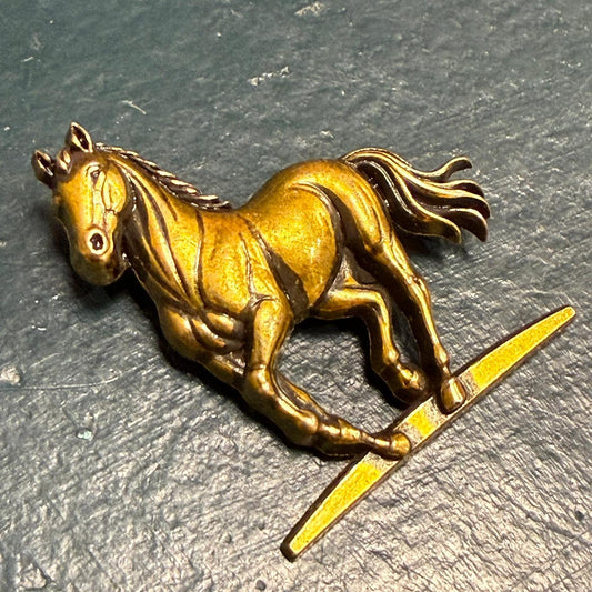 Pin Raidistas