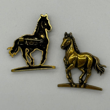 Pin Raidistas