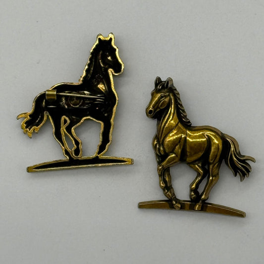 Pin Raidistas