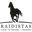 Raidistas Tienda Online logo